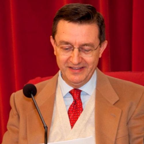 Massimo Bonafin